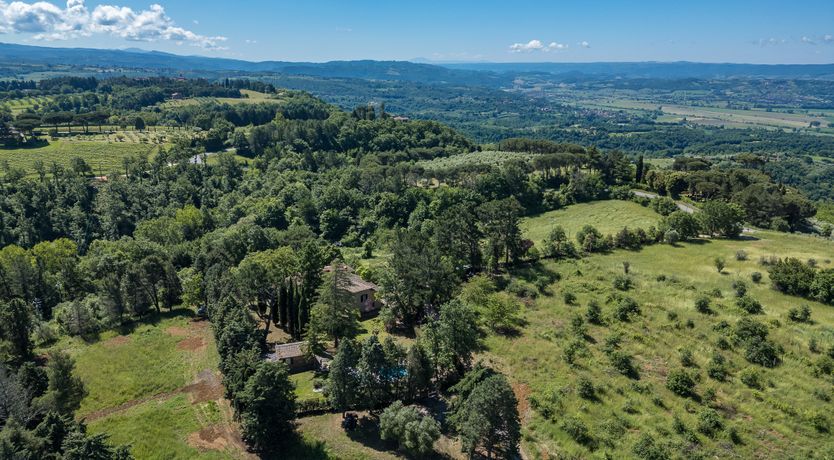 Photo of The Cat's Meow