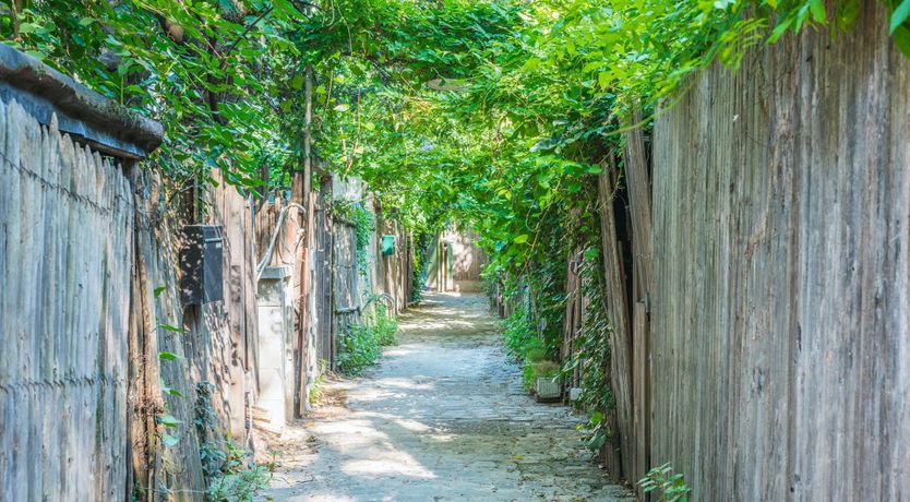 Photo of Portrait of Reflections