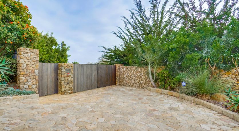 Photo of Menta Buena