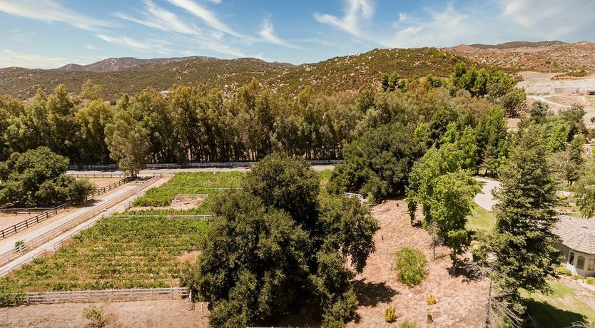 Photo of The Good King