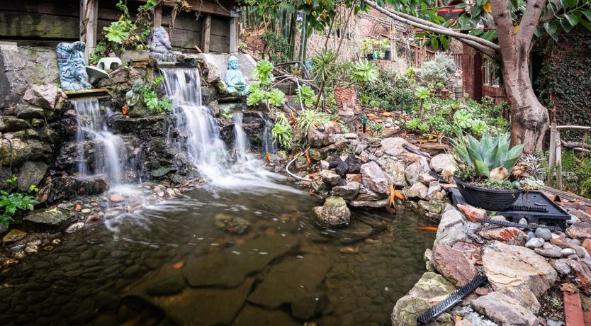 Photo of Permaculture Paradise