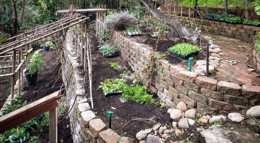 Photo of Permaculture Paradise