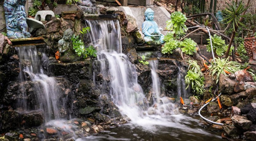 Photo of Permaculture Paradise