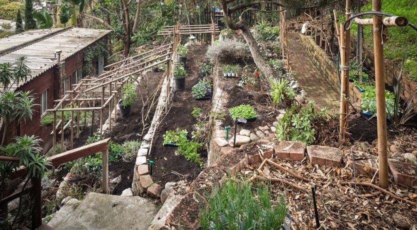 Photo of Permaculture Paradise
