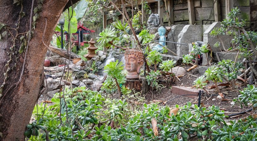 Photo of Permaculture Paradise