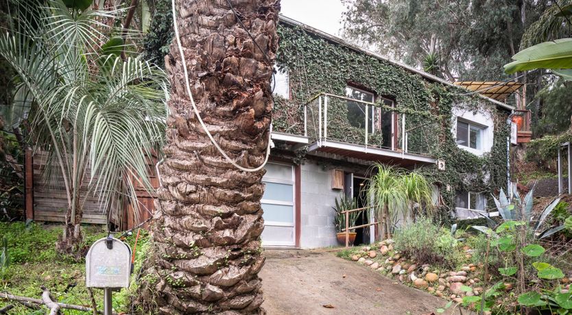 Photo of Permaculture Paradise