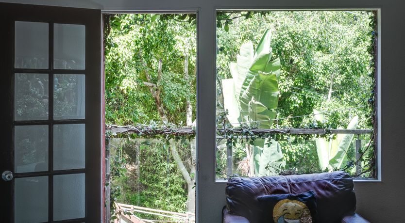 Photo of Permaculture Paradise