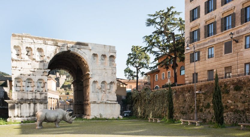 Photo of Mirror Peach