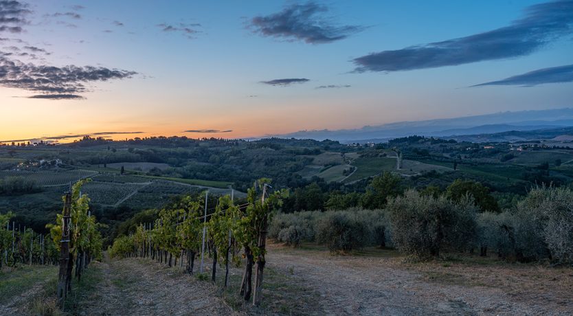 Photo of Envelope For A Love Letter
