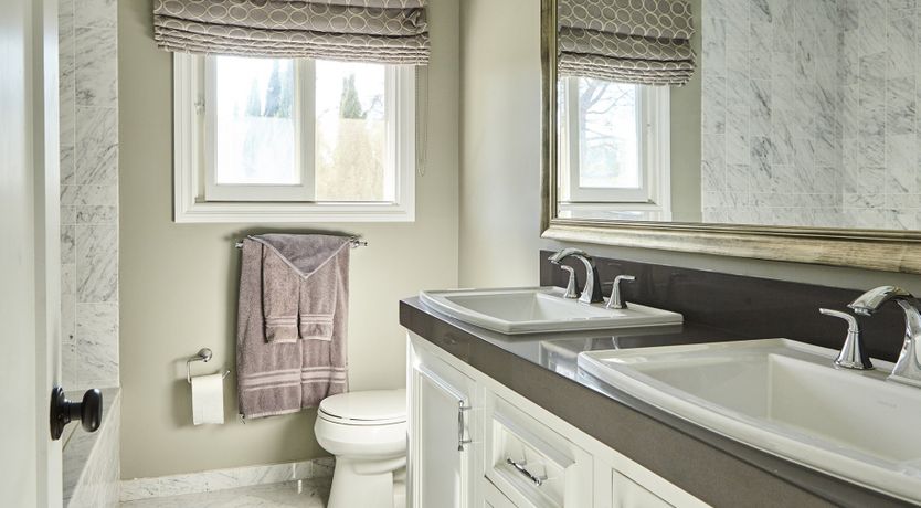 Photo of Through the Bamboo