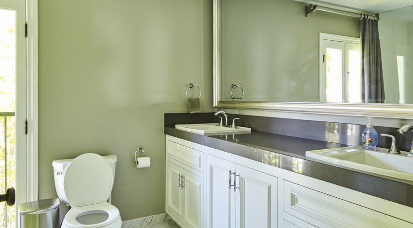 Photo of Through the Bamboo