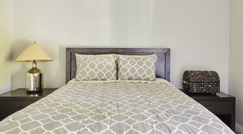 Photo of Through the Bamboo