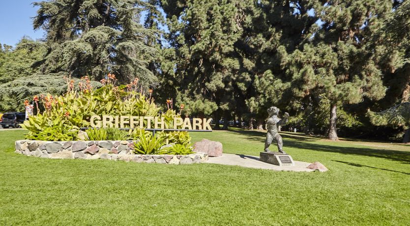 Photo of Through the Bamboo