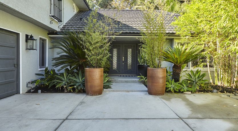 Photo of Through the Bamboo