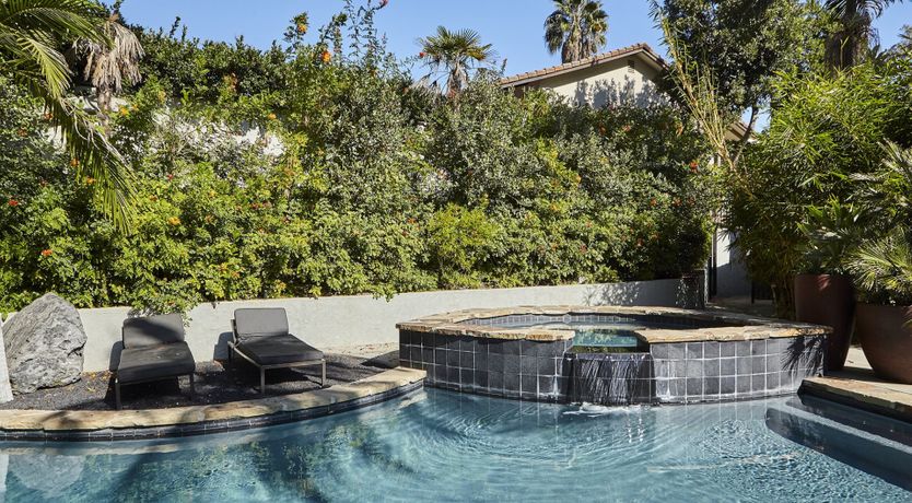 Photo of Through the Bamboo