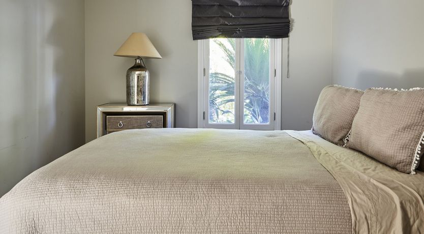 Photo of Through the Bamboo