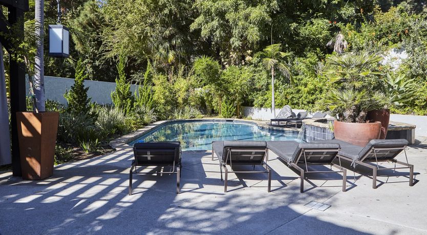 Photo of Through the Bamboo