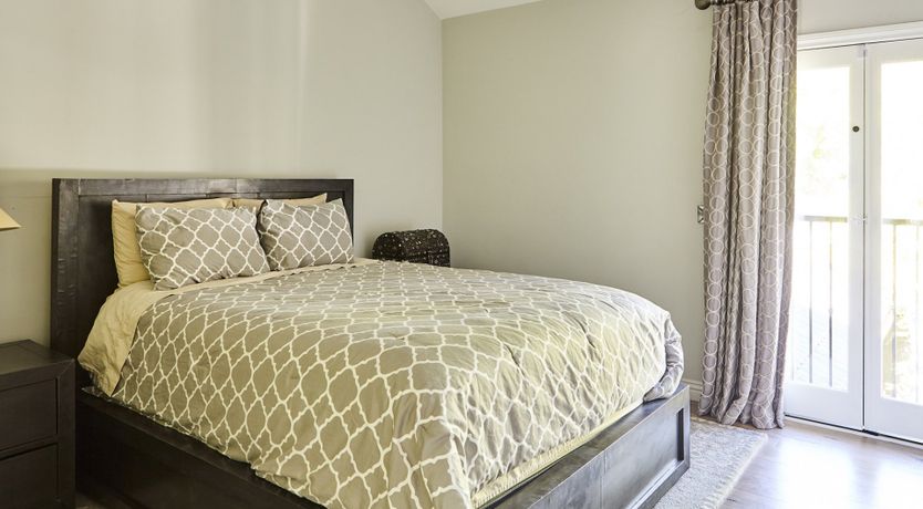 Photo of Through the Bamboo