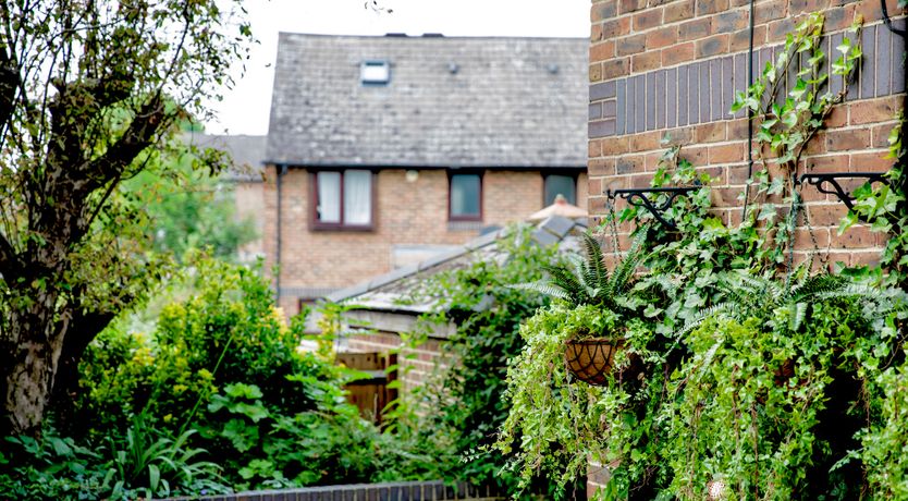 Photo of Speckled Blue