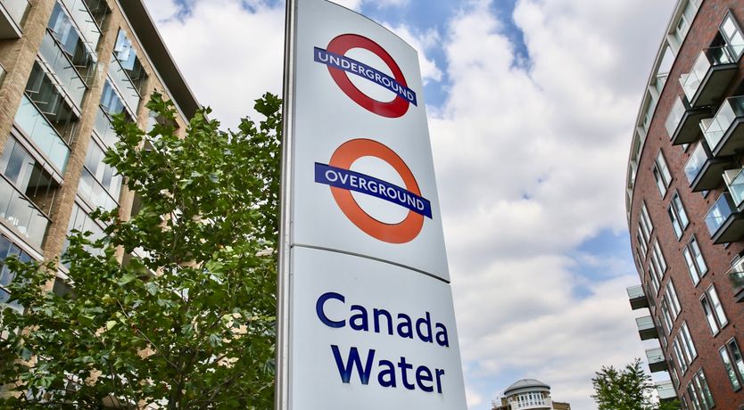 Photo of Speckled Blue