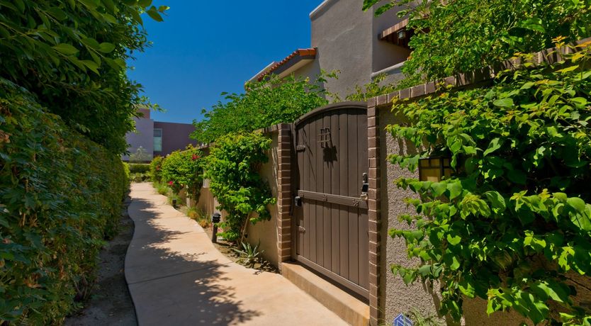 Photo of Squiggle Scribble