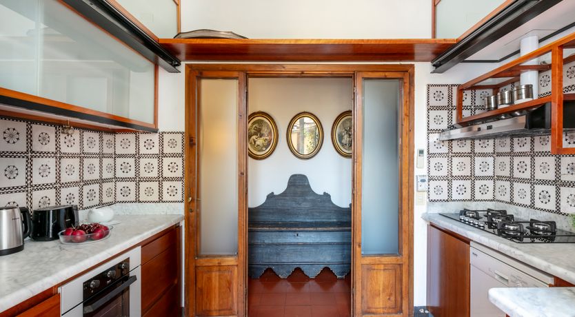 Photo of Lion's Pride