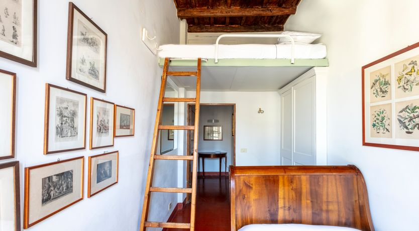 Photo of Lion's Pride