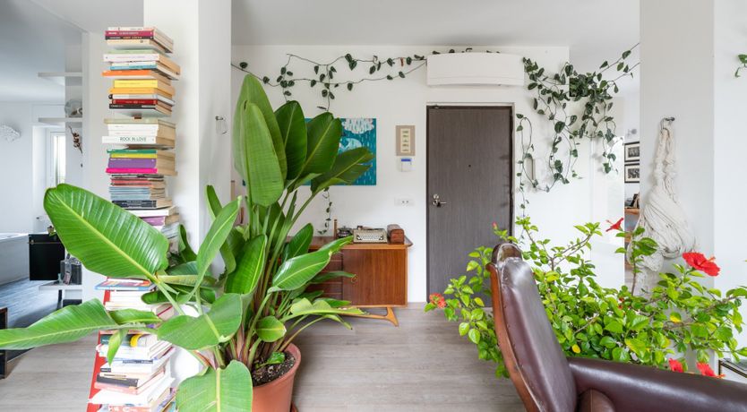 Photo of Foresta Verde