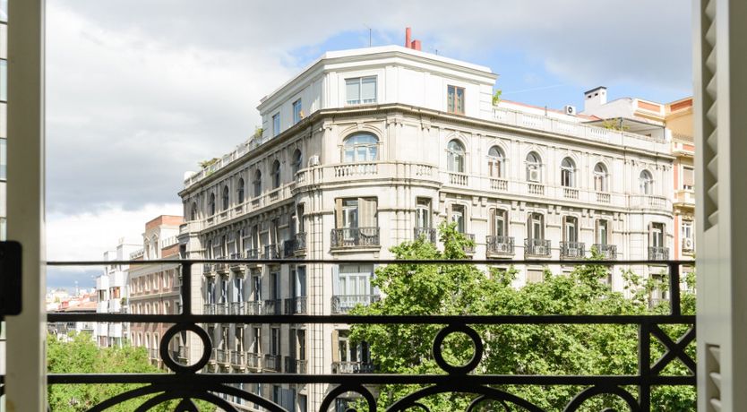 Photo of Blue Torito