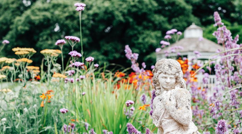 Photo of Antarctic Manor