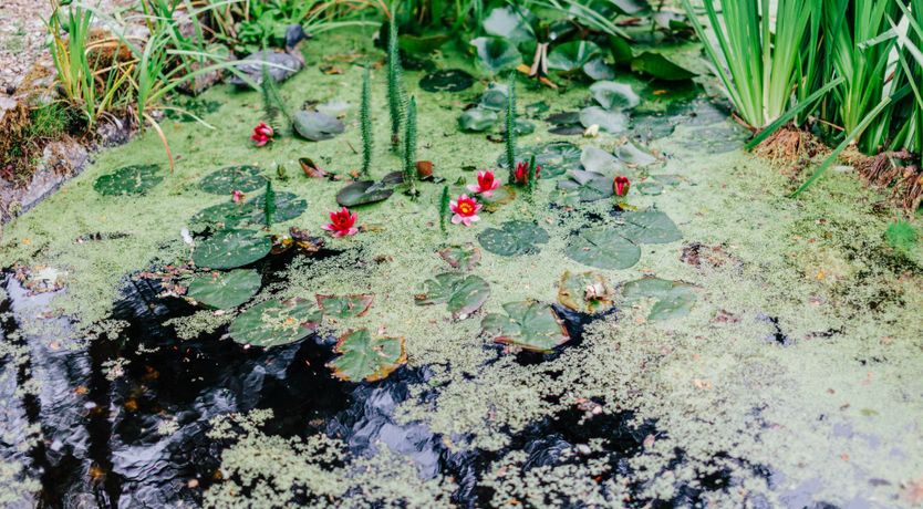 Photo of Antarctic Manor