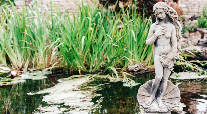 Photo of Antarctic Manor