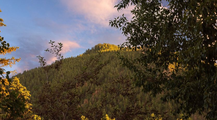 Photo of Contemporary Creek