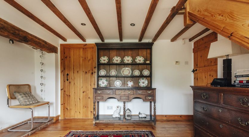 Photo of The Toadstool