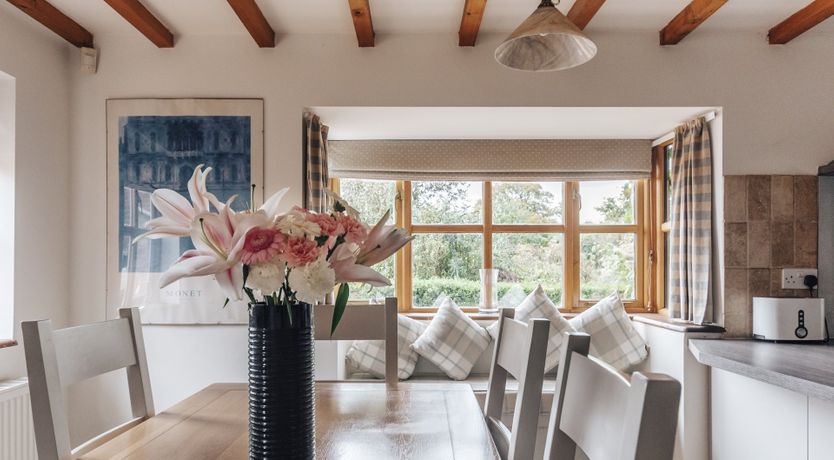 Photo of The Toadstool