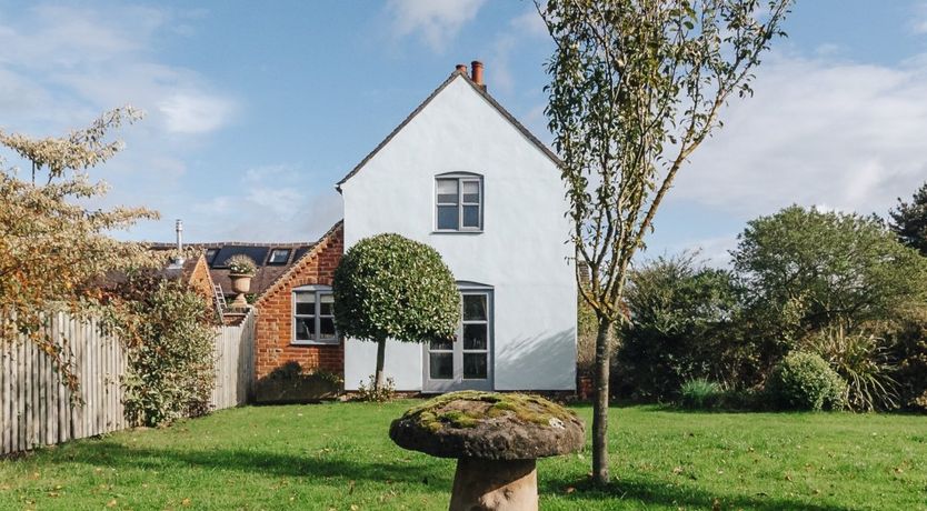 Photo of The Toadstool