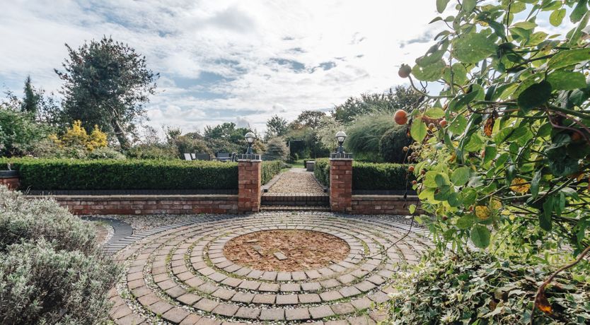 Photo of The Toadstool