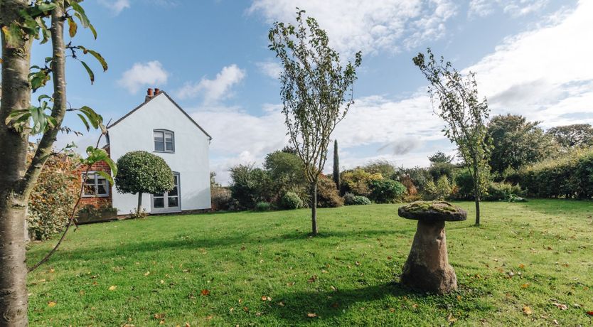 Photo of The Toadstool