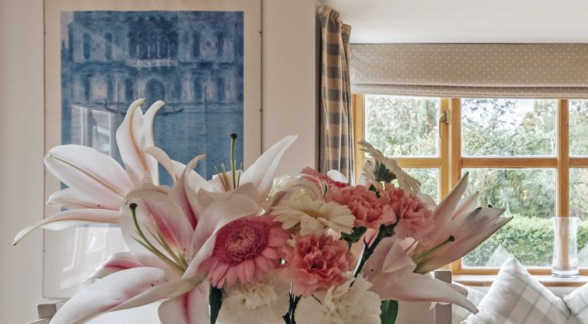 Photo of The Toadstool