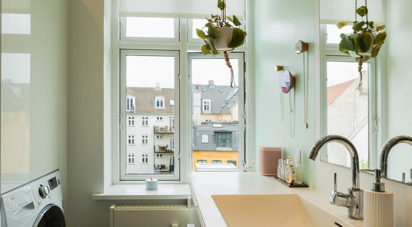 Photo of Pink Parakeet