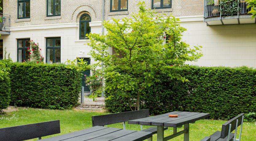 Photo of Pink Parakeet