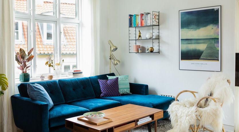 Photo of Pink Parakeet