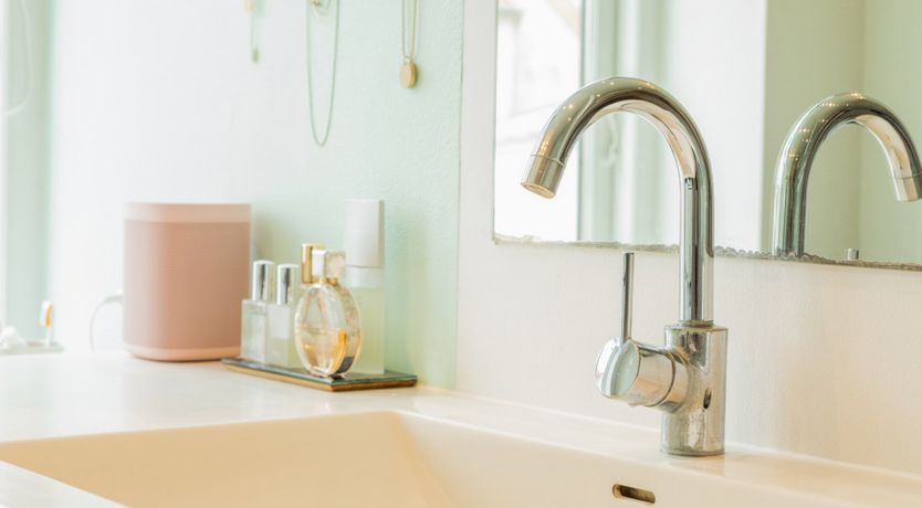 Photo of Pink Parakeet