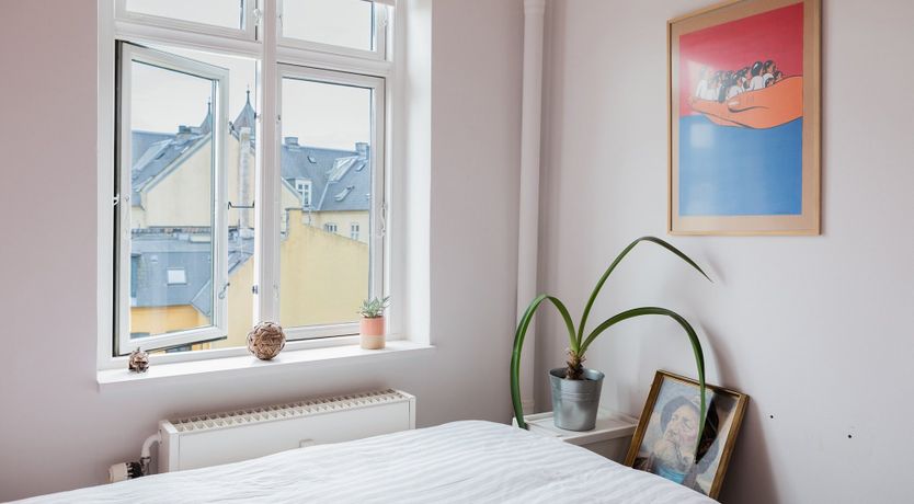 Photo of Pink Parakeet