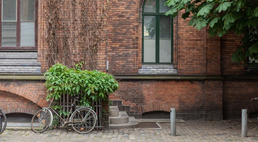 Photo of Pink Parakeet