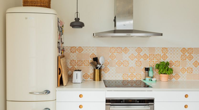 Photo of Pink Parakeet