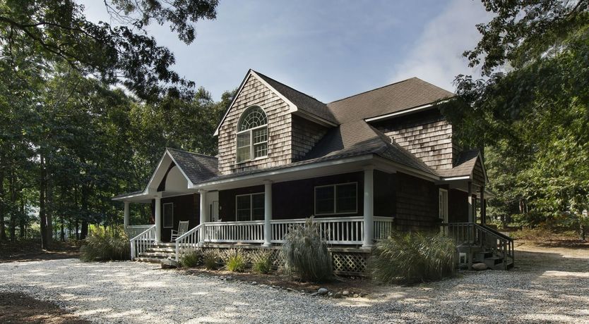 Photo of Dappled Sunlight