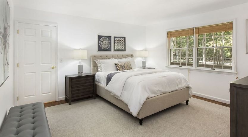 Photo of Dappled Sunlight