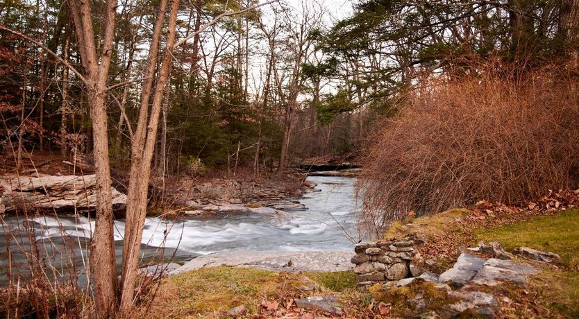 Photo of The Pond House