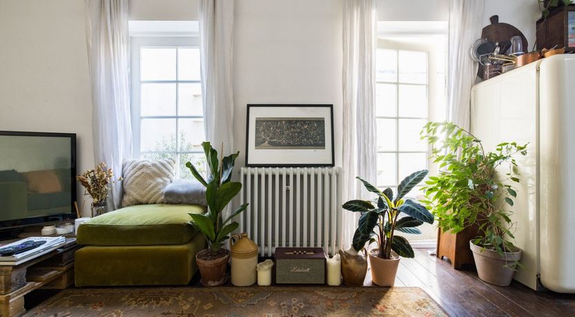 Photo of Retro Oasis